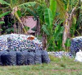 waste collection pulau tioman malaysia